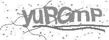 visual captcha